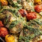 Easy and Healthy Pesto Chicken with roasted tomatoes and zucchini on a sheet pan